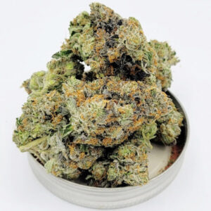 Captain's Pink Strain